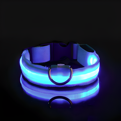 LED Dog Collar