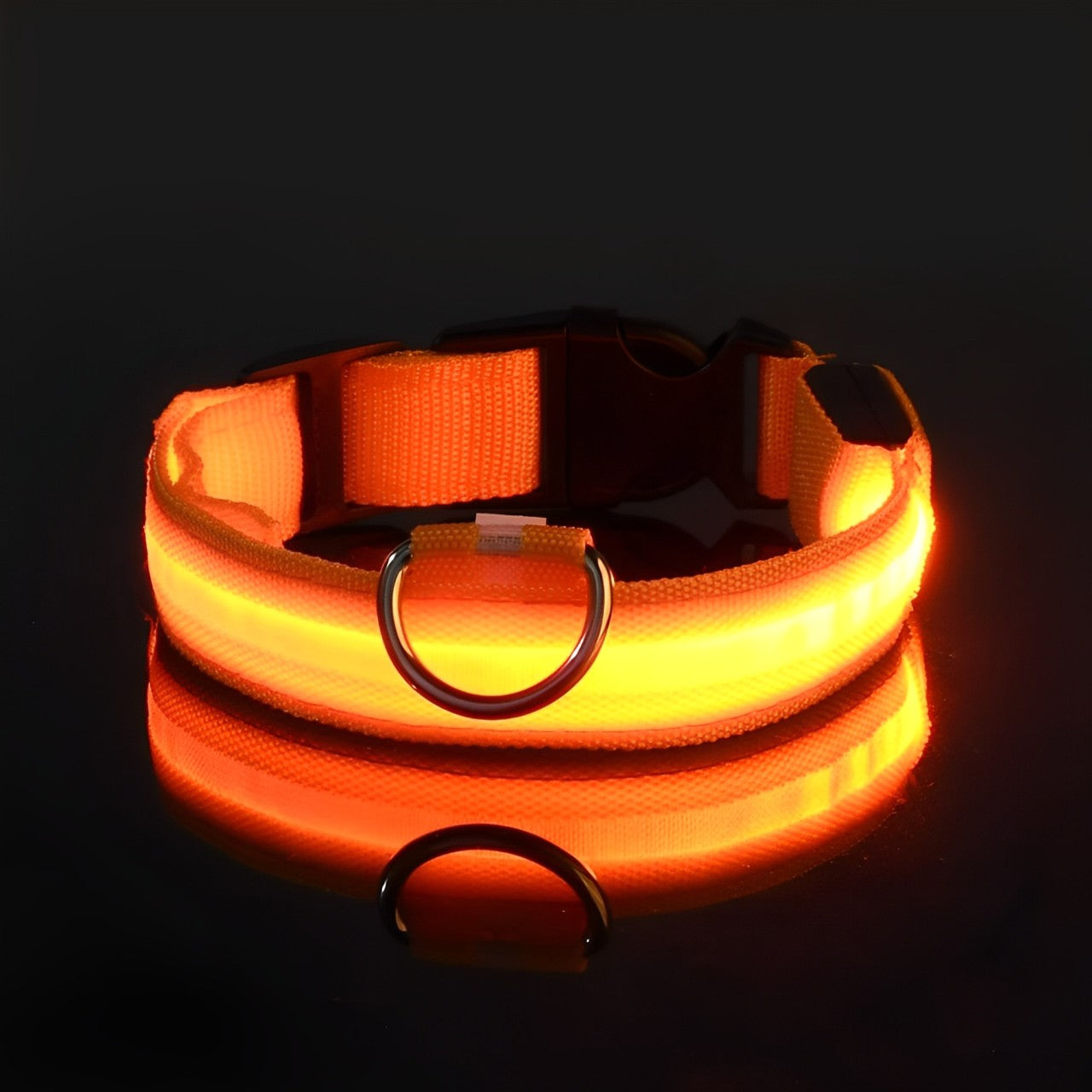 LED Dog Collar