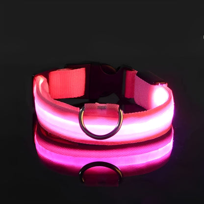 LED Dog Collar